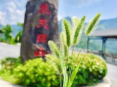 -东天目山风景区