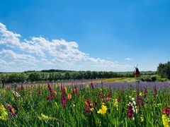 -北纬44度·金珠花海休闲农业旅游景区