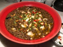 -初蓉丨遇见新川菜(亲贤街荣耀店)