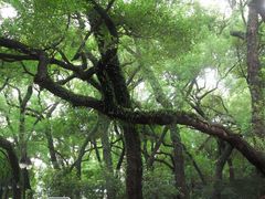 -晓港公园