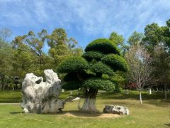 -东湖听涛景区