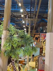 点击看大图 -卡通尼·Safari非洲探索乐园·生日会(金桥国际商业广场店)