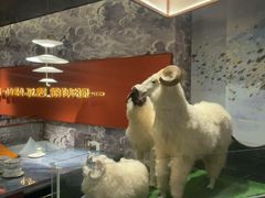 -百草滩羊清水涮羊肉·清真·宁夏盐池滩羊(莲花桥店)