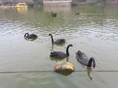 -无锡动物园·太湖欢乐园