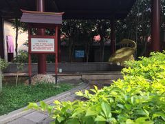 -金穗园温泉酒店