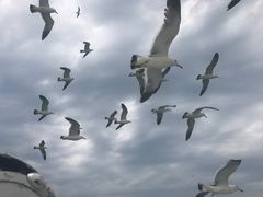 -海驴岛(荣成市)