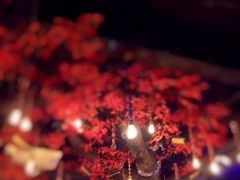 -令狐冲烤鱼·烧菜馆(达明店)
