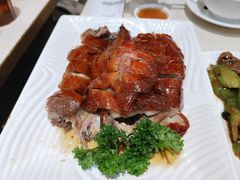 新发烧鹅-香港新发烧腊茶餐厅(书城店)
