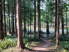 -西溪国家湿地公园