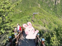 -大岭沟猕猴桃谷风景区