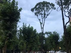 -四川大学(望江校区)