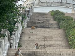 -苏州上方山国家森林公园