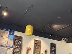 -椿不老
