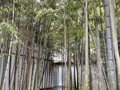 -穹六人间 people 6(岳阳路店)