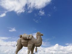 -大自然醉鹅·铁锅火焰鹅(上海联洋店)