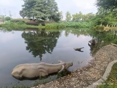 -金银湖国家城市湿地公园