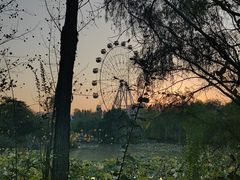-西安浐灞国家湿地公园