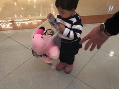 -PAWTOY爪e玩偶店(天兴罗斯福店)