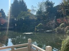 -杭州西子湖四季酒店-WL BISTRO西湖餐厅(灵隐路店)