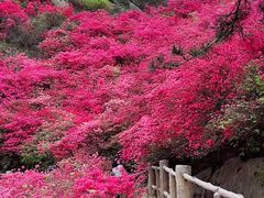 -木兰云雾山