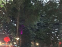 -二荆条·蜀鲜汇城市森林火锅