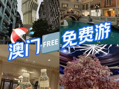 -澳门威尼斯人综合度假区