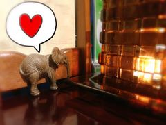 餐具摆设-食肆&Fourteen(武林夜市店)