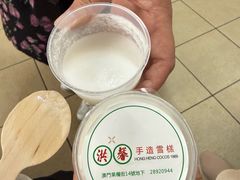 -洪馨椰子