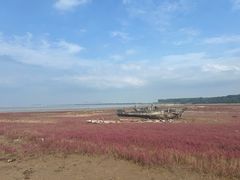 -辽宁团山国家级海洋公园