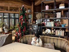 -一棵树·意大利西餐厅One Tree(新城店)