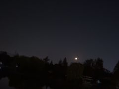 -箸福·夜上海(月牙湖公园店)