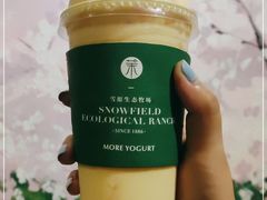 -茉酸奶(春熙路店)