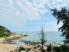 -广东惠东海龟国家级自然保护区