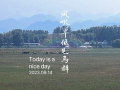 -野鸭湖国家湿地公园