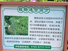 -大屏嶂森林公园