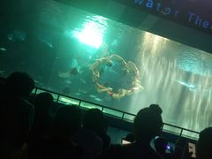 -泉城欧乐堡海洋极地世界