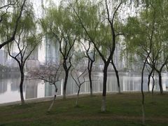 -西北湖绿化广场