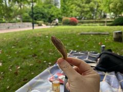 -合点寿司(金虹桥商场店)