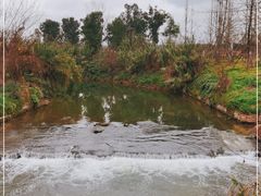 -白鹭湾湿地公园