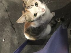 -老东风菜馆·潮汕大排档