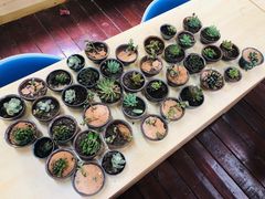 -瓷天下海丝谷