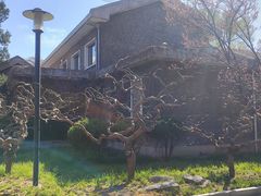 -清华大学-甲所餐厅