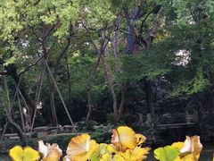 -绮园景区
