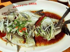 -丹江渔村(望京店)