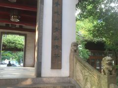 -龙潭水乡