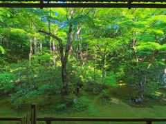 -三千院