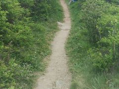 -王顺山国家森林公园