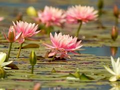 -南通洲际绿博园