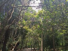 -昆明市金殿名胜区
