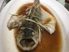 清蒸鲈鱼-善银私房菜馆(金舟花园小区店)
